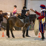 Sinterklaas Ponystappen 